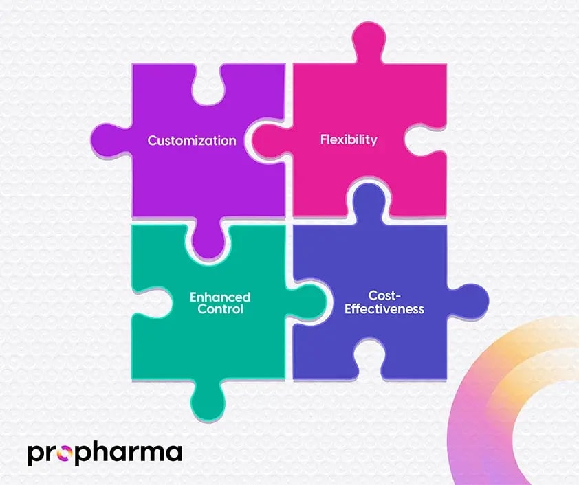 Illustration showing four key features of the FSP model as puzzle pieces fitting together.